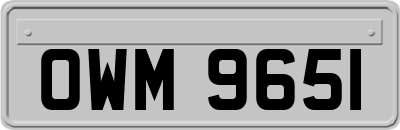 OWM9651