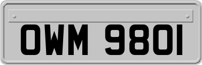 OWM9801