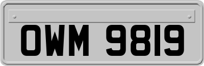 OWM9819