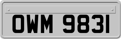 OWM9831