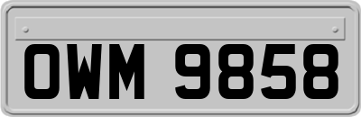 OWM9858