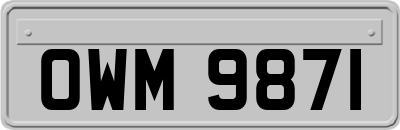 OWM9871
