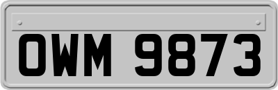 OWM9873