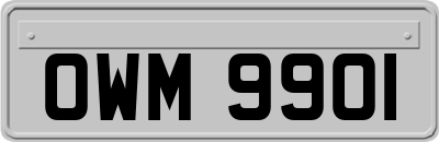 OWM9901