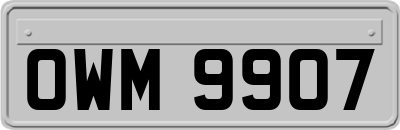 OWM9907