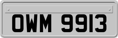 OWM9913