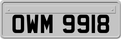 OWM9918