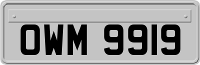 OWM9919