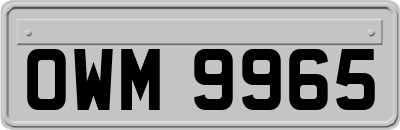 OWM9965