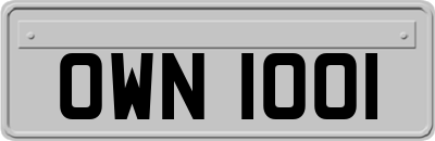 OWN1001