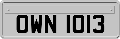 OWN1013