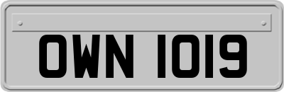OWN1019