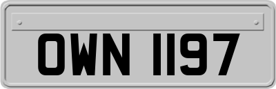 OWN1197