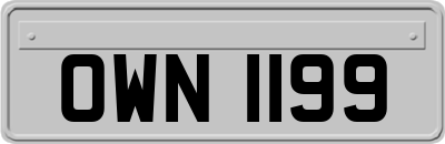 OWN1199