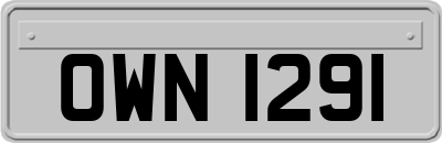 OWN1291