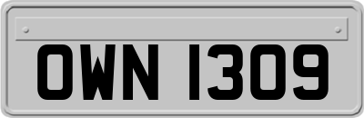 OWN1309