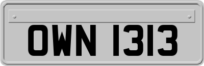 OWN1313