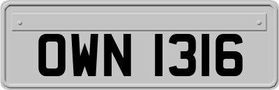 OWN1316