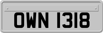 OWN1318