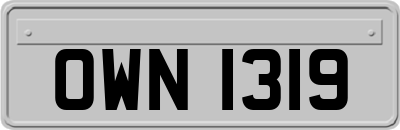 OWN1319