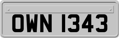 OWN1343