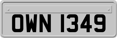 OWN1349