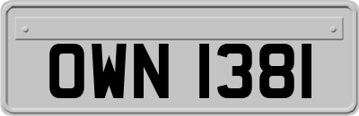 OWN1381