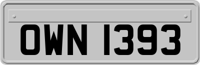 OWN1393