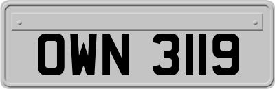 OWN3119