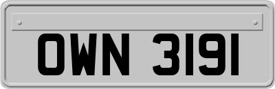 OWN3191