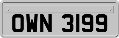 OWN3199