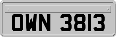 OWN3813