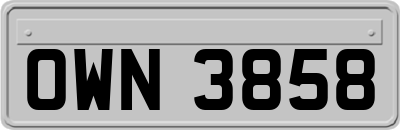OWN3858
