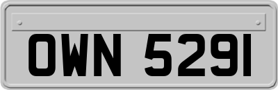 OWN5291