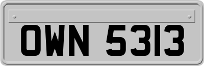 OWN5313