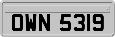OWN5319