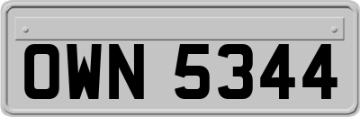 OWN5344
