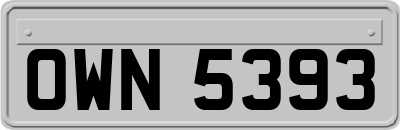 OWN5393