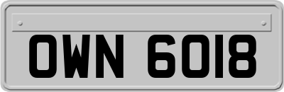 OWN6018