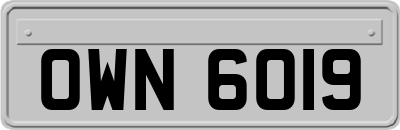 OWN6019