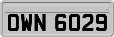 OWN6029