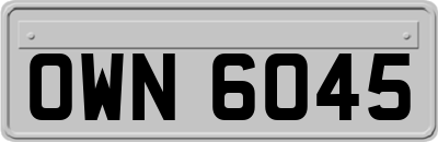 OWN6045