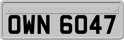 OWN6047
