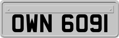 OWN6091