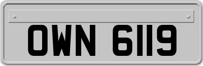 OWN6119
