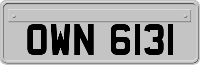 OWN6131