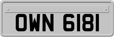 OWN6181