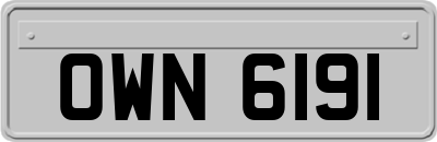 OWN6191