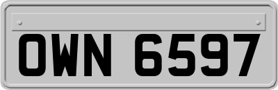 OWN6597