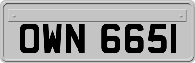 OWN6651